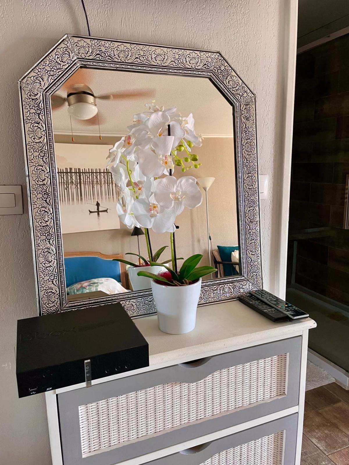 Luxurious Studio In Nice 450 M Of The Sea Buitenkant foto